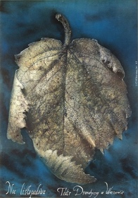 Noc listopadowa, Czerniawski poster, plakat