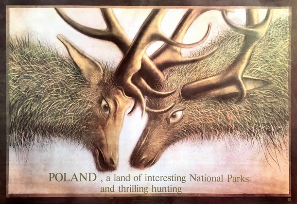Polska, kraina Parkow Narodowych i polowan, Poland, a land of interesting National Parks and thrilling hunting, Czerniawski Jerzy