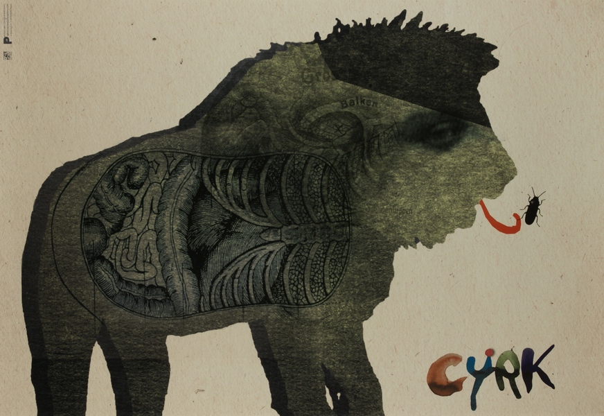 Cyrk Lew, Circus Lion, Renkas Kaja Cyrk Lew, Circus Lion, Renkas Kaja
