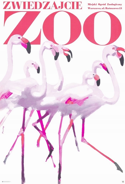 Zwiedzajcie ZOO - flamingi, Visit the ZOO - Flamingos, Swierzy Waldemar