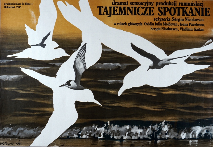 Tajemnicze spotkanie, The Encounter, Walkuski Wieslaw Tajemnicze spotkanie, The Encounter, Walkuski Wieslaw